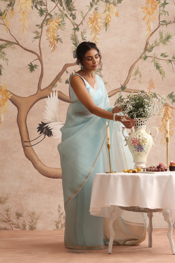 Light  blue Organza Banarasi Handloom Sautri Saree