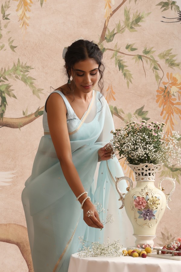 Light  blue Organza Banarasi Handloom Sautri Saree