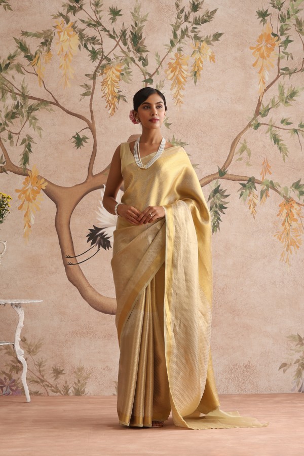 Light Lemon Green Pure Organza Brocade Banarasi Saree