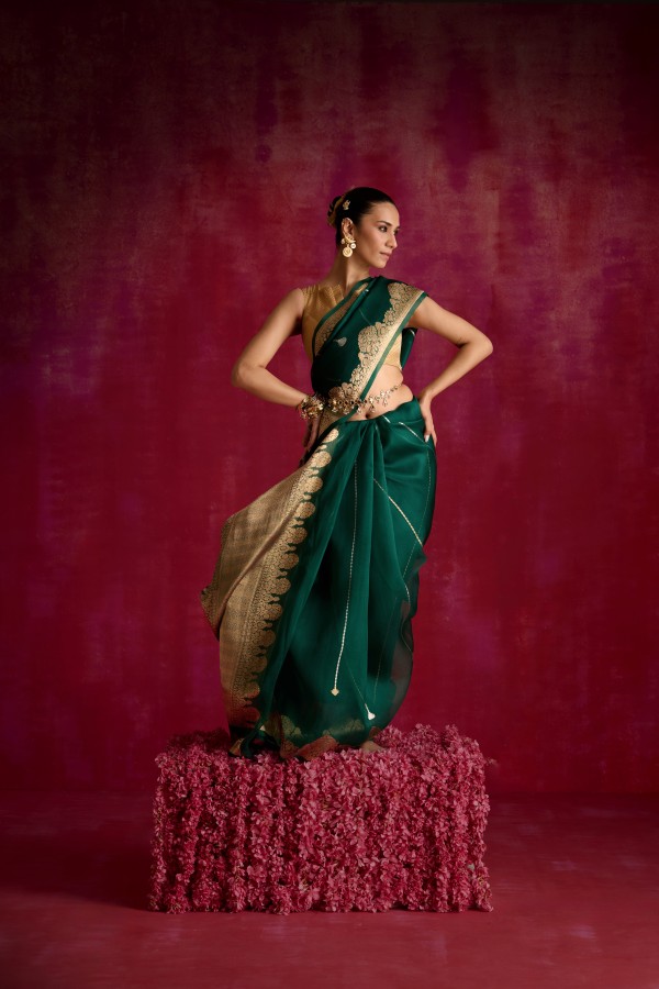 Green Pure Organza Banarasi Handloom Sautri Saree