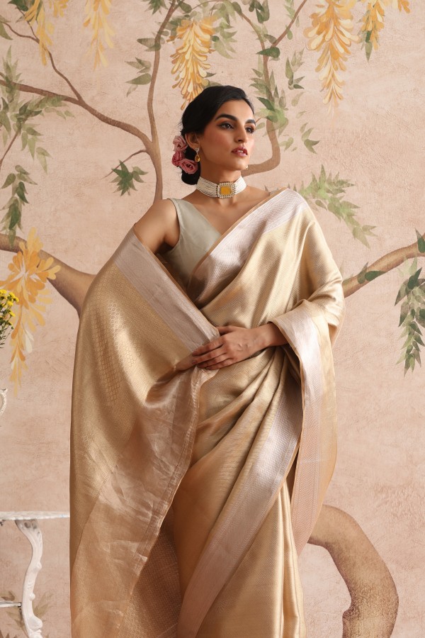 Light Tussar Pure Organza Brocade Banarasi Saree