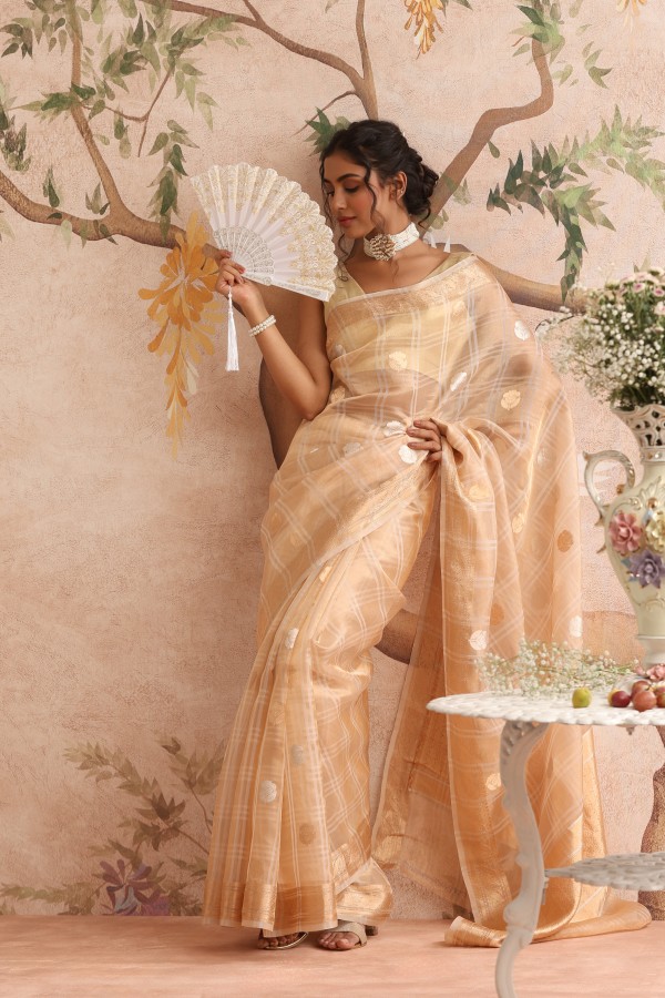 Gold Tissue Pure Organza Banarasi Handloom Sautri Saree