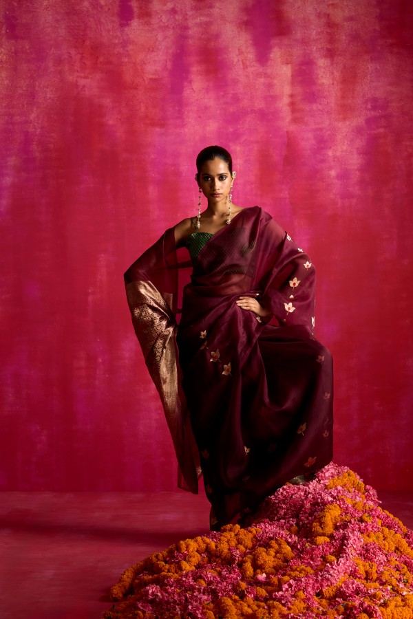 Wine Pure Organza Banarasi Handloom Sautri Saree