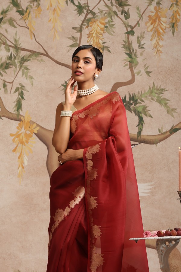 Rust Pure Organza Banarasi Handloom Sautri Saree