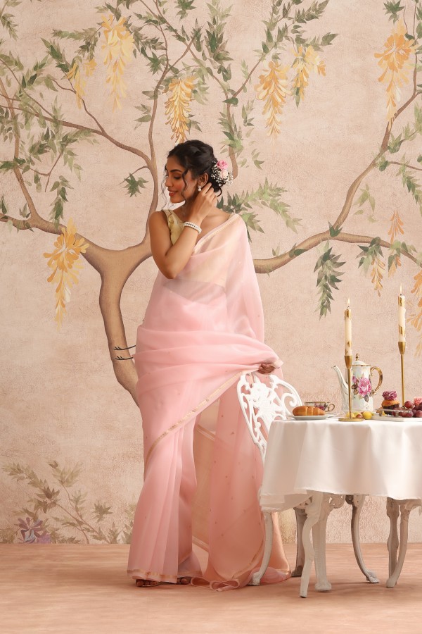 Light Pink Pure Organza Banarasi Handloom Sautri Saree
