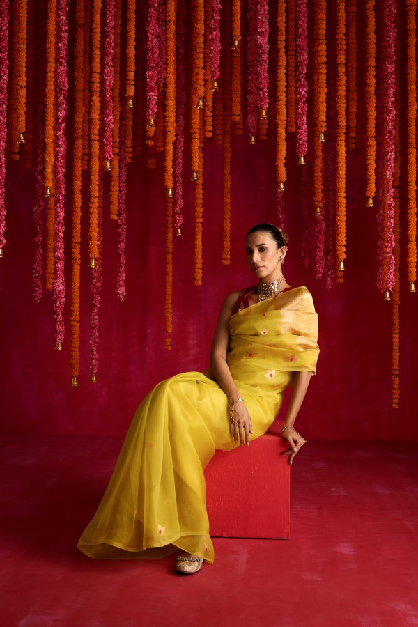 Lime Pure Organza Banarasi Handloom Sautri Saree