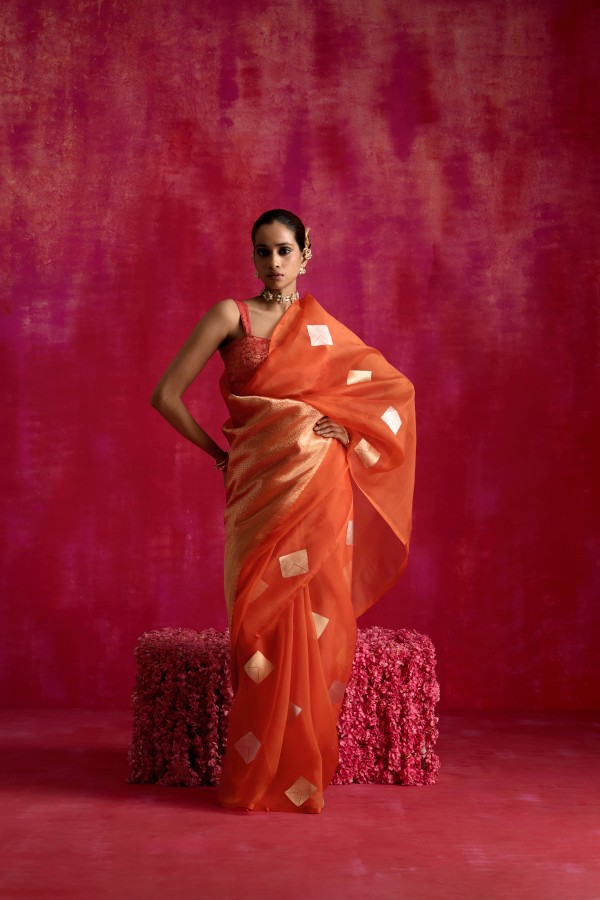 Orange Pure Organza Banarasi Handloom Sautri Saree