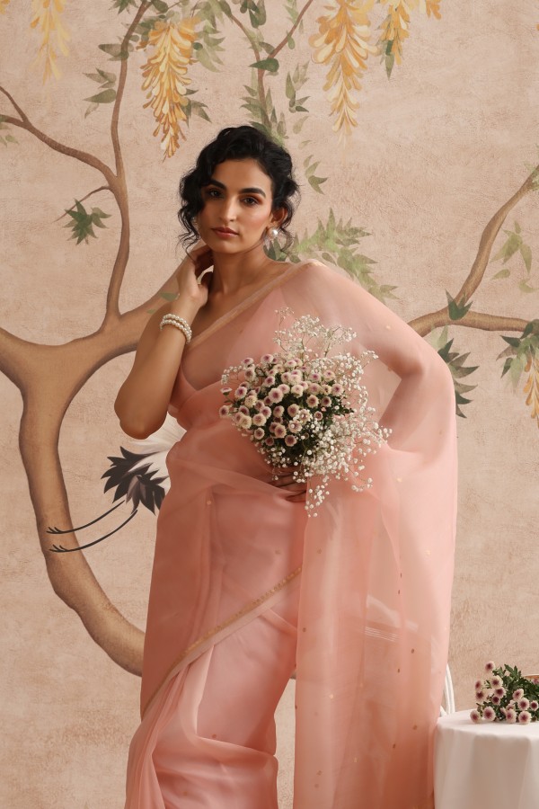 Light Rose Pink Pure Organza Banarasi Handloom Sautri Saree