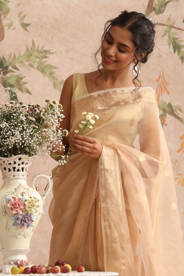 Gold Tissue Pure Organza Banarasi Handloom Sautri Saree
