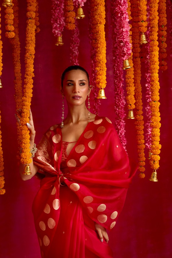 Red Pure Organza Banarasi Handloom Sautri Saree
