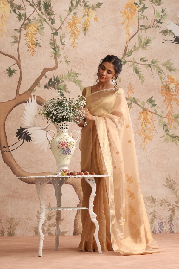 Gold Tissue Pure Organza Banarasi Handloom Sautri Saree
