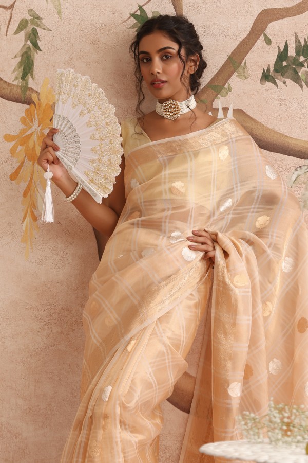 Gold Tissue Pure Organza Banarasi Handloom Sautri Saree