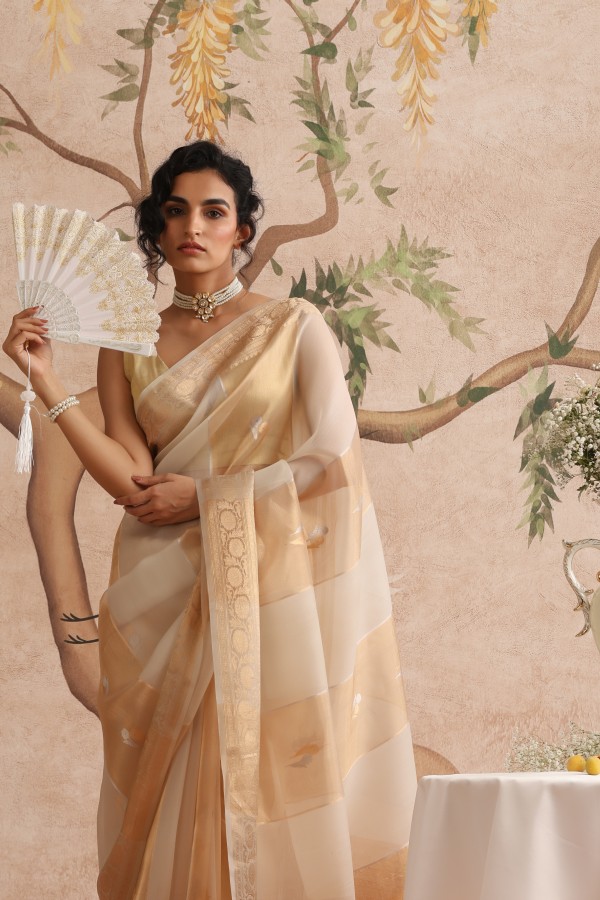 Gold Tissue Pure Organza Banarasi Handloom Sautri Saree
