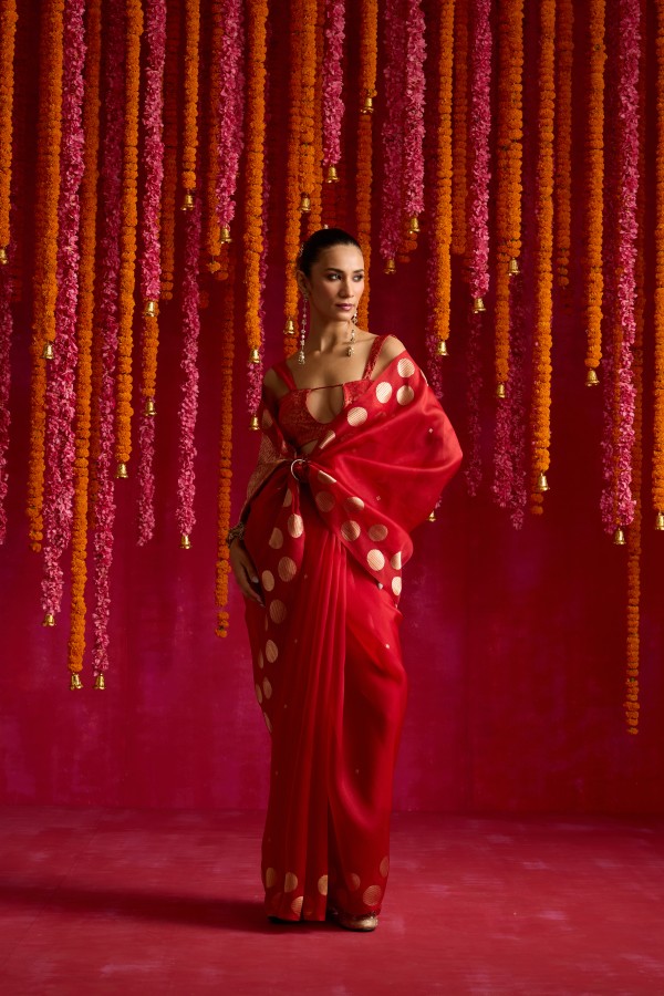 Red Pure Organza Banarasi Handloom Sautri Saree