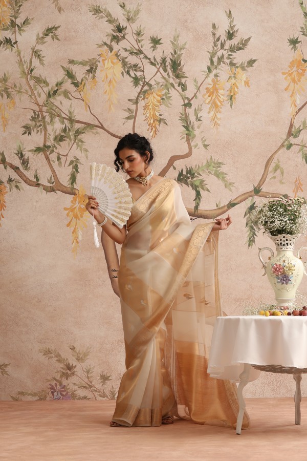 Gold Tissue Pure Organza Banarasi Handloom Sautri Saree
